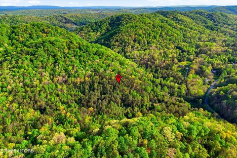 Tiny photo for 416 Satterfield Rd, Luttrell, TN 37779 (MLS # 1337784)