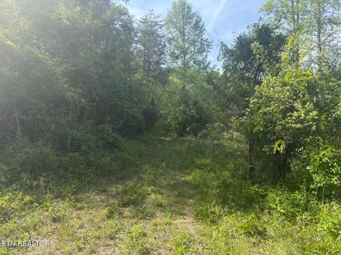 Tiny photo for 416 Satterfield Rd, Luttrell, TN 37779 (MLS # 1337784)