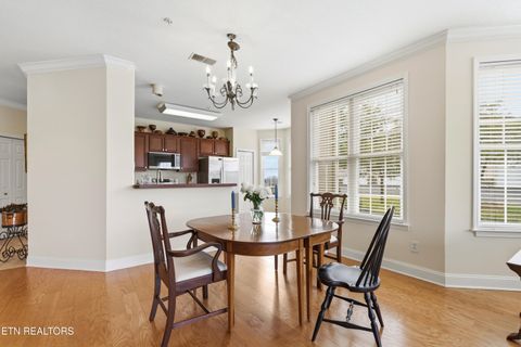 Tiny photo for 555 Rarity Bay Pkwy #101, Vonore, TN 37885 (MLS # 1331816)