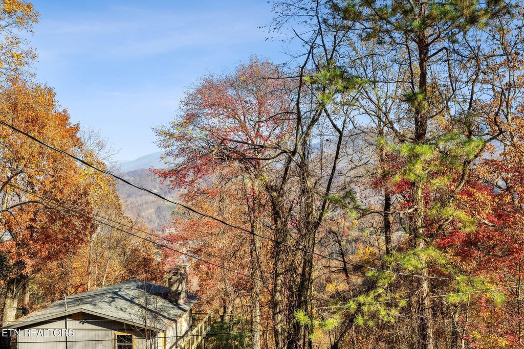 Photo of 1536 Zurich Rd Rd, Gatlinburg, TN 37738 (MLS # 1313738)