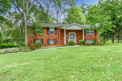 Photo of 8705 Longmeade Drive, Knoxville, TN 37923 (MLS # 1346376)