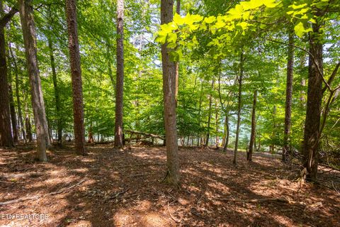 Tiny photo for 22 Indian Shadows Drive, Ten Mile, TN 37880 (MLS # 1347986)