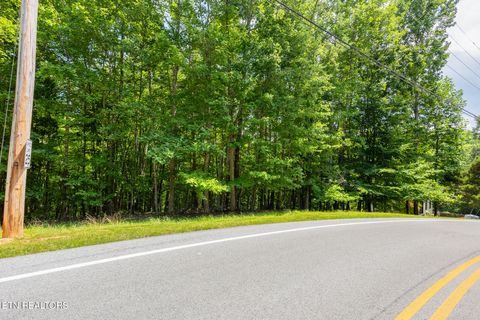 Tiny photo for 22 Indian Shadows Drive, Ten Mile, TN 37880 (MLS # 1347986)