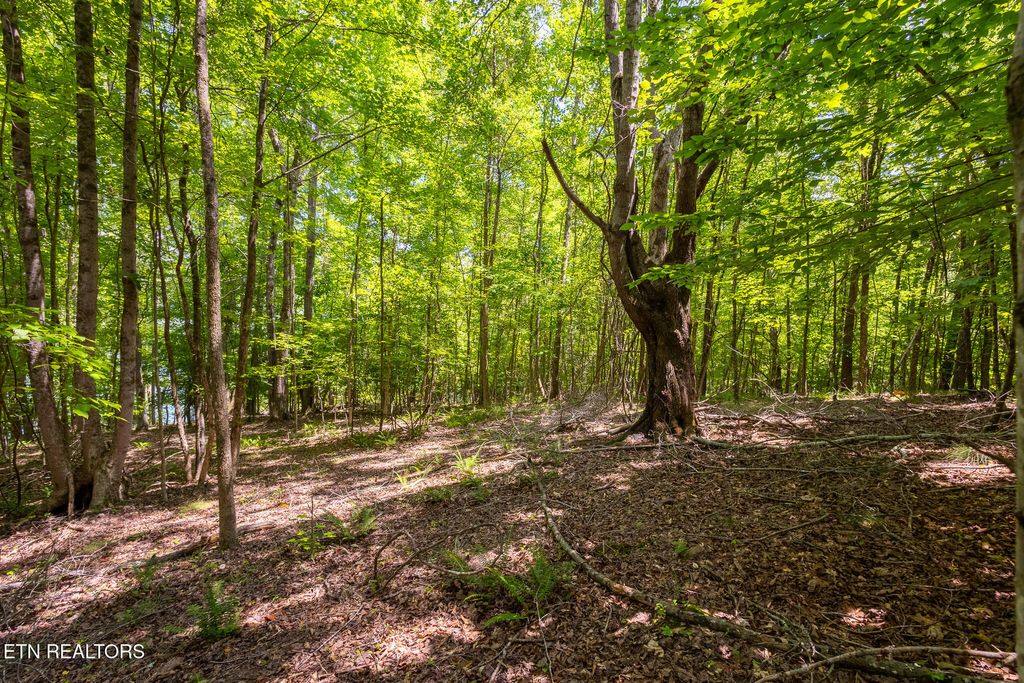 Photo of 22 Indian Shadows Drive, Ten Mile, TN 37880 (MLS # 1347986)