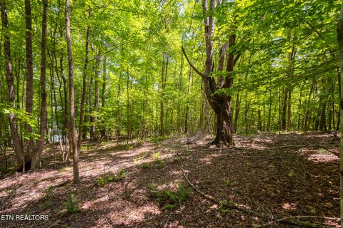Tiny photo for 22 Indian Shadows Drive, Ten Mile, TN 37880 (MLS # 1347986)