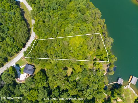 Tiny photo for 22 Indian Shadows Drive, Ten Mile, TN 37880 (MLS # 1347986)