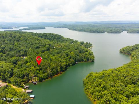 Tiny photo for 22 Indian Shadows Drive, Ten Mile, TN 37880 (MLS # 1347986)