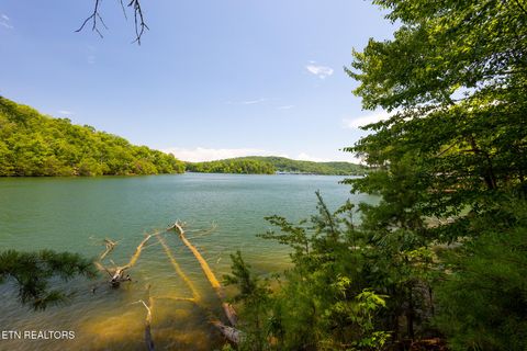 Tiny photo for 22 Indian Shadows Drive, Ten Mile, TN 37880 (MLS # 1347986)