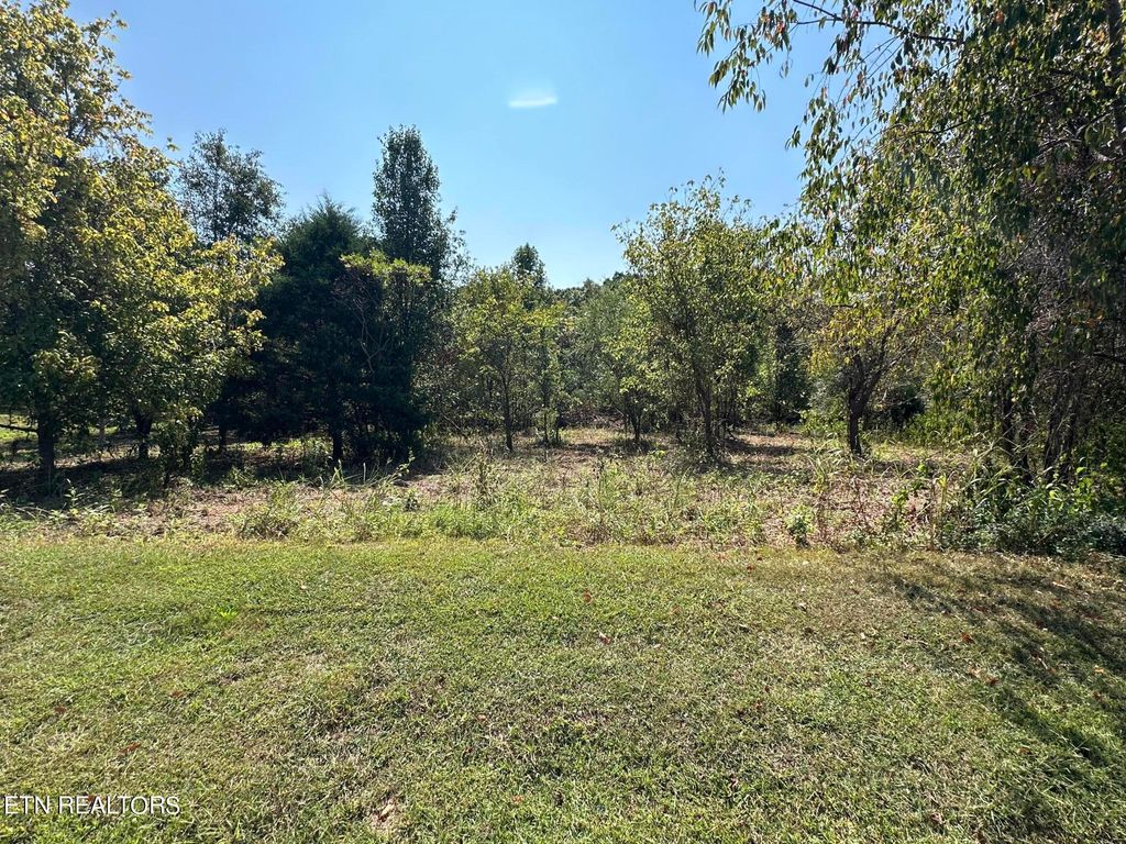 Photo of 116 Walelu Tr, Vonore, TN 37885 (MLS # 1276152)