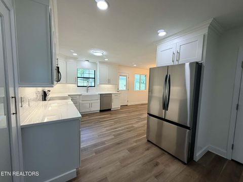 Tiny photo for 138 Keylon Hollow Rd, Ten Mile, TN 37880 (MLS # 1340469)