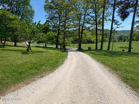 Tiny photo for 138 Keylon Hollow Rd, Ten Mile, TN 37880 (MLS # 1340469)