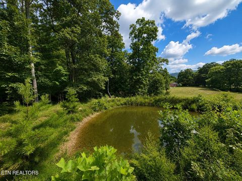 Tiny photo for 138 Keylon Hollow Rd, Ten Mile, TN 37880 (MLS # 1340469)