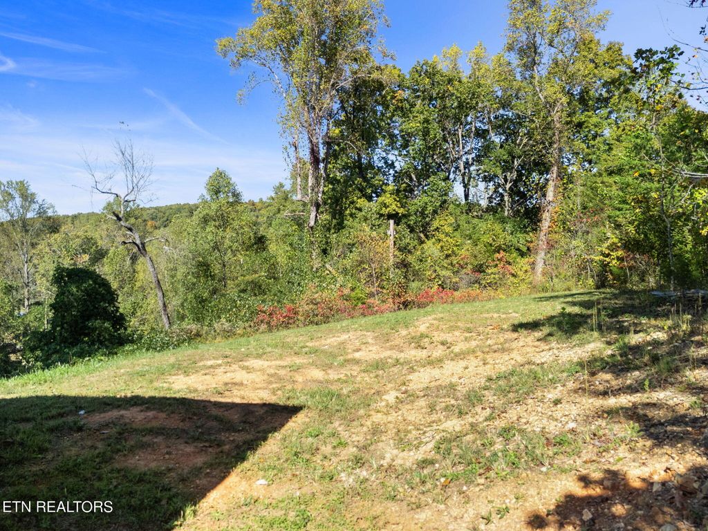Photo of 111 Grey Dove Lane, Powell, TN 37849 (MLS # 1319310)