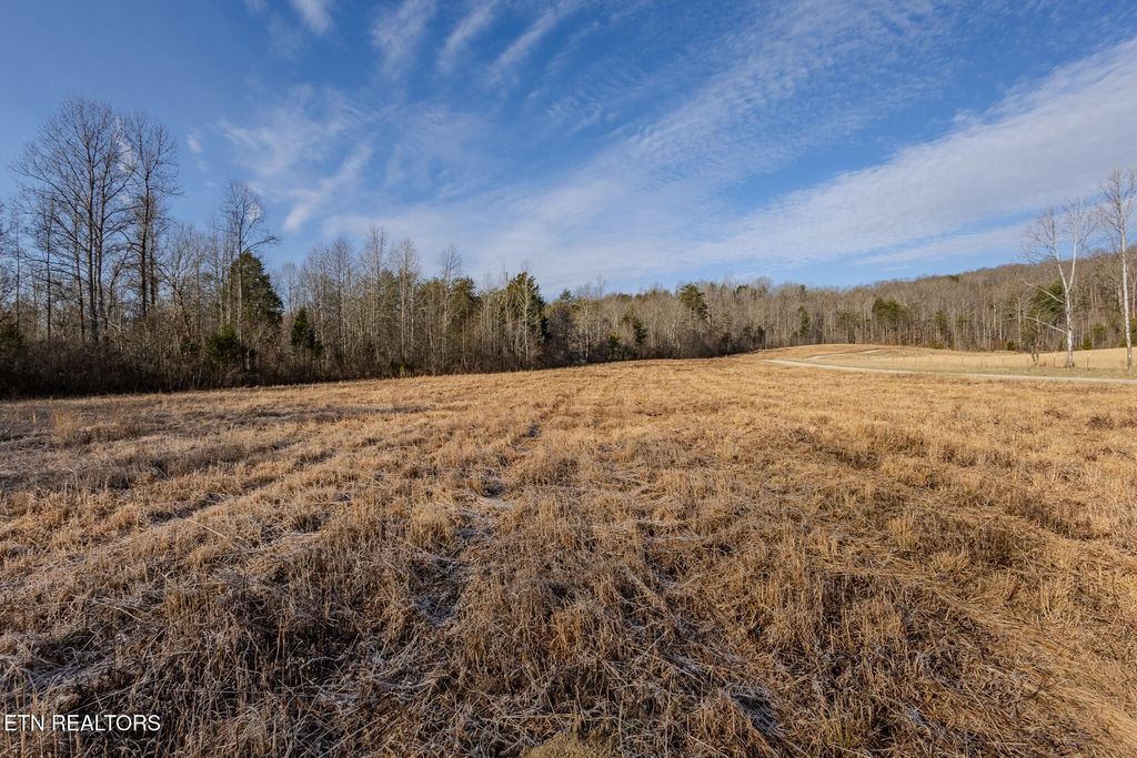 Photo of 210 Dogtown Rd, Ten Mile, TN 37880 (MLS # 1327200)