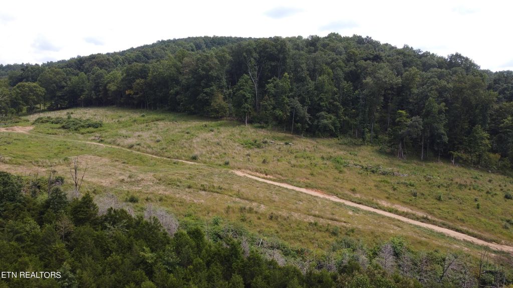 Photo of TBD Mulberry Gap Rd, Tazewell, TN 37879 (MLS # 1268480)