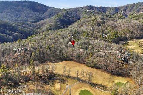 Tiny photo for 106 Fairway Circle, Townsend, TN 37882 (MLS # 1324616)