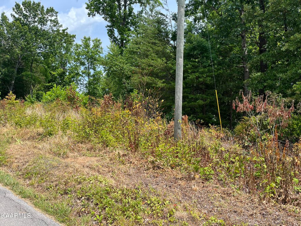 Photo of Rural Vale Rd, Tellico Plains, TN 37385 (MLS # 1230435)