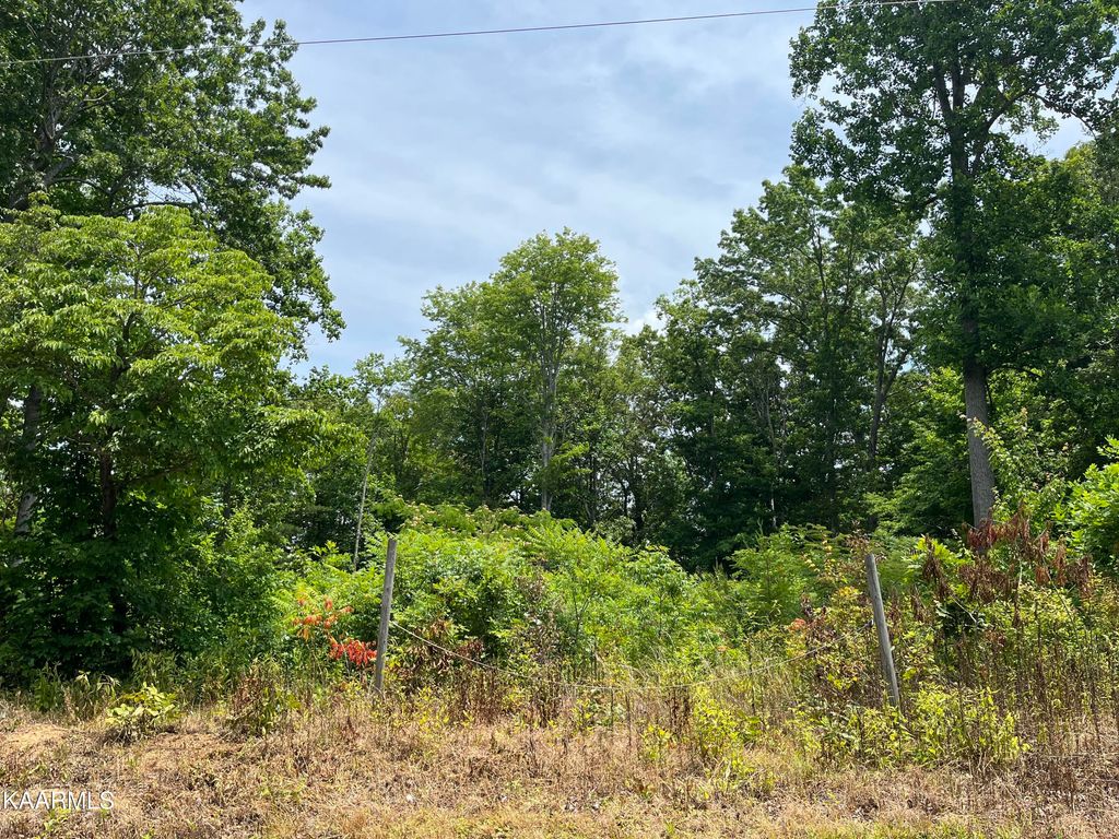 Photo of Rural Vale Rd, Tellico Plains, TN 37385 (MLS # 1230435)