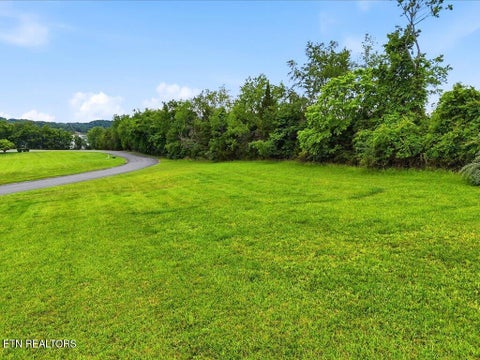Tiny photo for 2014 Lake Vista Court, Mooresburg, TN 37811 (MLS # 1342690)