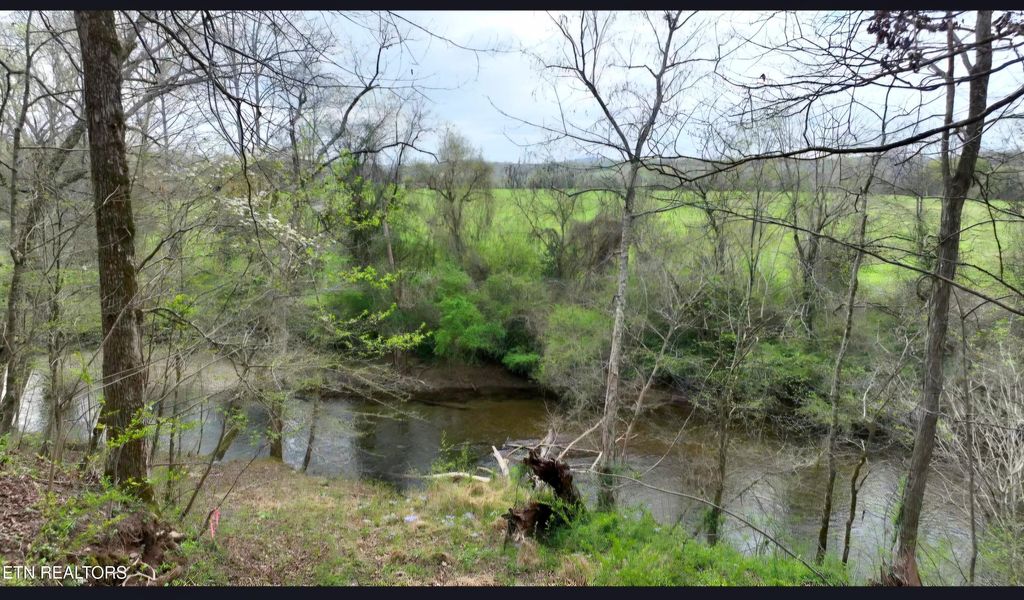 Photo of 6870 Tennessee 360, Tellico Plains, TN 37385 (MLS # 1335587)