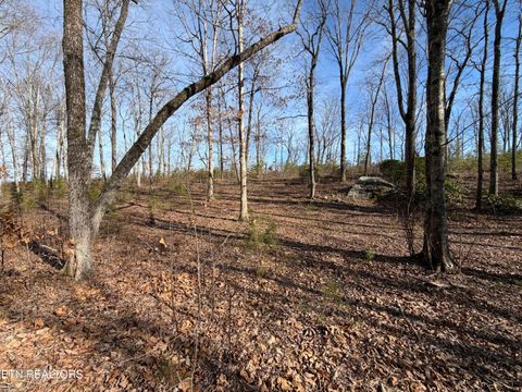 Tiny photo for Escape Drive, Evensville, TN 37332 (MLS # 1333192)