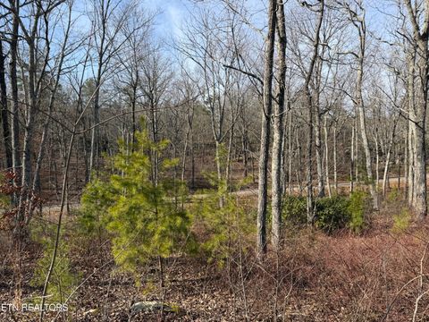 Tiny photo for Escape Drive, Evensville, TN 37332 (MLS # 1333192)