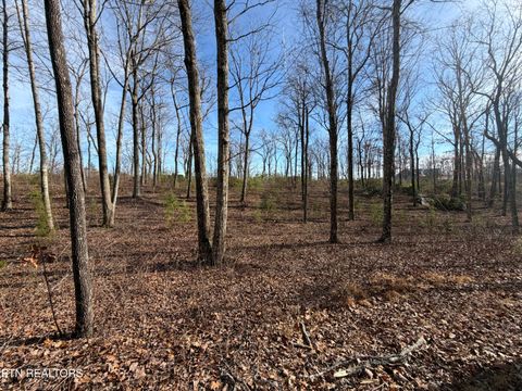 Tiny photo for Escape Drive, Evensville, TN 37332 (MLS # 1333192)