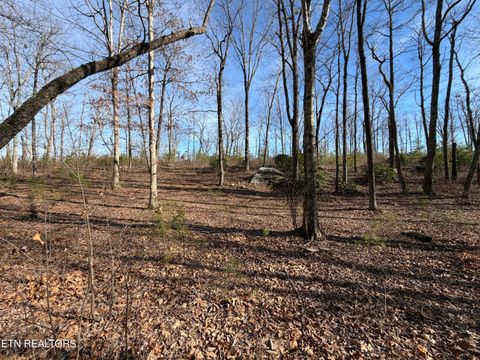 Tiny photo for Escape Drive, Evensville, TN 37332 (MLS # 1333192)