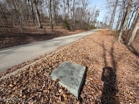 Tiny photo for Escape Drive, Evensville, TN 37332 (MLS # 1333192)