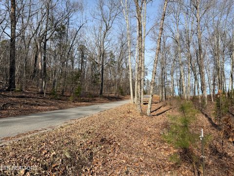 Tiny photo for Escape Drive, Evensville, TN 37332 (MLS # 1333192)