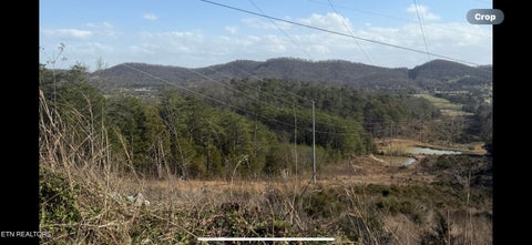 Tiny photo for 1372 Friends Station Rd, New Market, TN 37820 (MLS # 1349575)