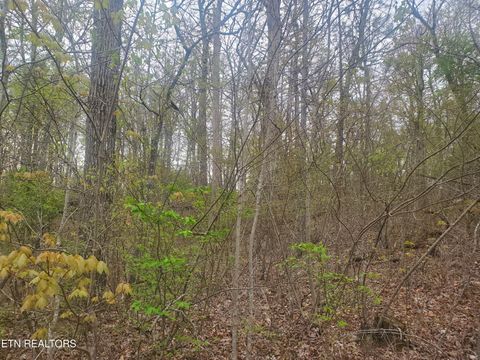 Photo of 8646 Cherokee Tr, Crossville, TN 38572 (MLS # 1317817)