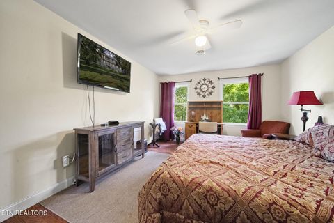 Tiny photo for 3447 Mountain View Lane, Baneberry, TN 37890 (MLS # 1331401)