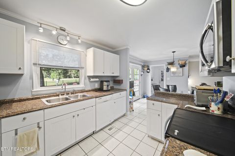 Tiny photo for 3447 Mountain View Lane, Baneberry, TN 37890 (MLS # 1331401)