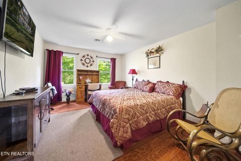 Tiny photo for 3447 Mountain View Lane, Baneberry, TN 37890 (MLS # 1331401)