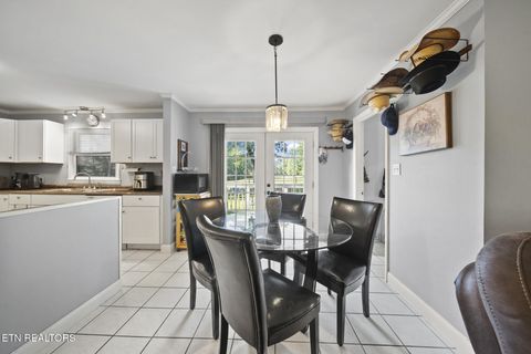 Tiny photo for 3447 Mountain View Lane, Baneberry, TN 37890 (MLS # 1331401)