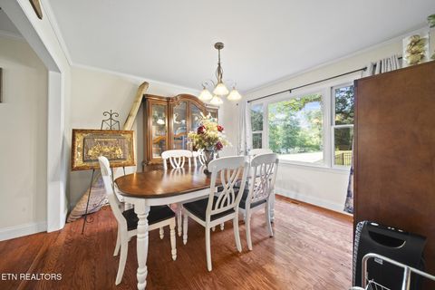 Tiny photo for 3447 Mountain View Lane, Baneberry, TN 37890 (MLS # 1331401)