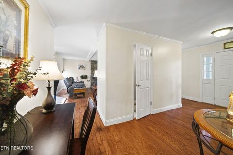 Tiny photo for 3447 Mountain View Lane, Baneberry, TN 37890 (MLS # 1331401)