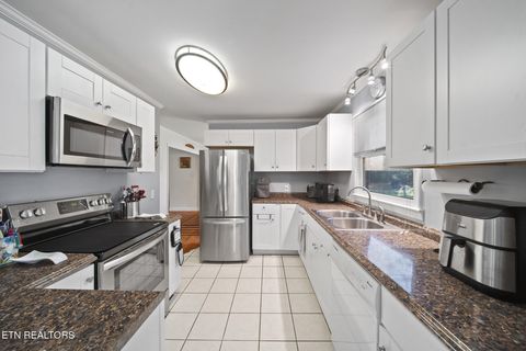 Tiny photo for 3447 Mountain View Lane, Baneberry, TN 37890 (MLS # 1331401)