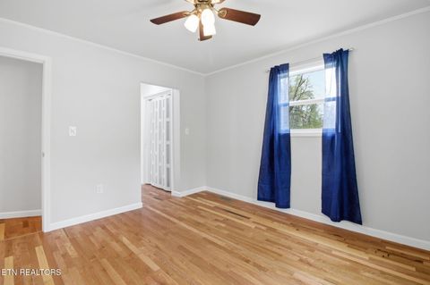 Tiny photo for 324 Sanita Village Rd, Bean Station, TN 37708 (MLS # 1336750)