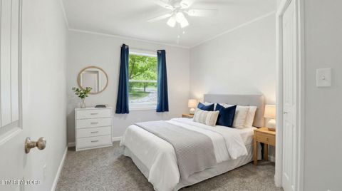 Tiny photo for 324 Sanita Village Rd, Bean Station, TN 37708 (MLS # 1336750)