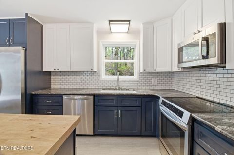 Tiny photo for 324 Sanita Village Rd, Bean Station, TN 37708 (MLS # 1336750)