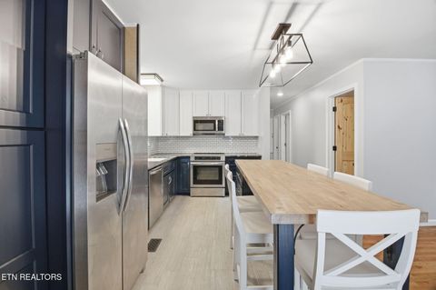 Tiny photo for 324 Sanita Village Rd, Bean Station, TN 37708 (MLS # 1336750)