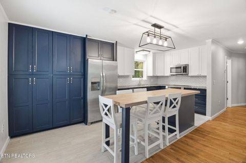 Tiny photo for 324 Sanita Village Rd, Bean Station, TN 37708 (MLS # 1336750)