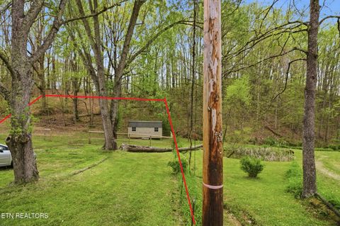 Tiny photo for 324 Sanita Village Rd, Bean Station, TN 37708 (MLS # 1336750)