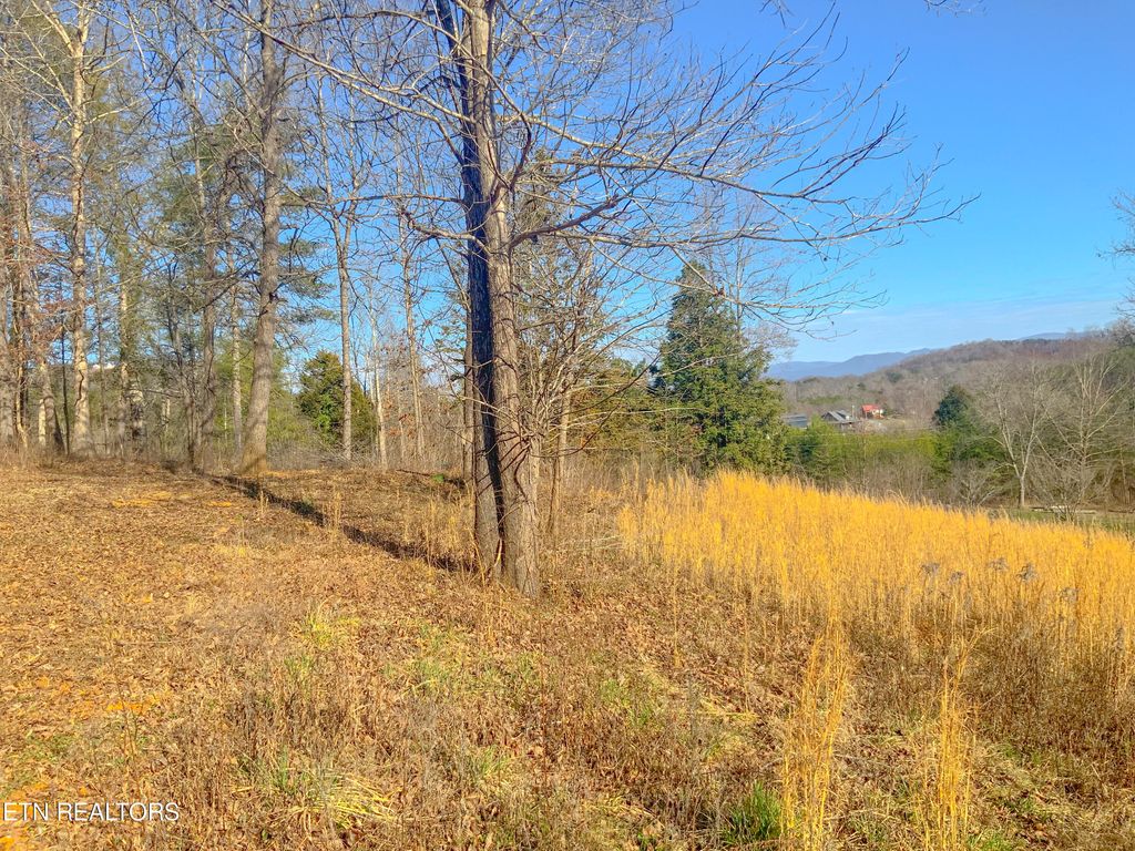 Photo of 675 Reagan Valley Rd, Tellico Plains, TN 37385 (MLS # 1253385)