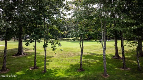 Tiny photo for 119 Forest View Drive, Crossville, TN 38558 (MLS # 1358398)
