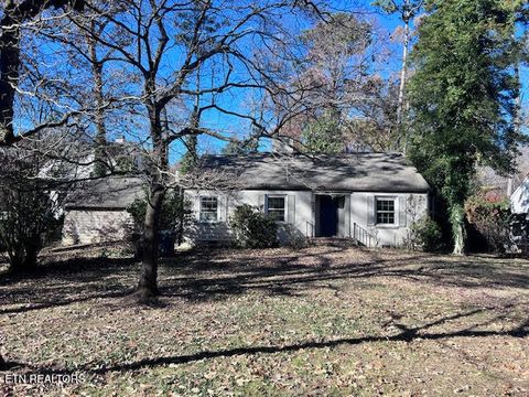 Photo of 4419 Dogwood Lane, Knoxville, TN 37919 (MLS # 1323179)