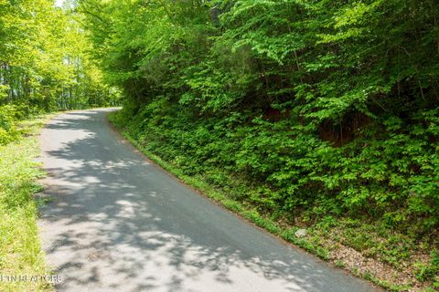 Running Bear Road Cosby TN 37722