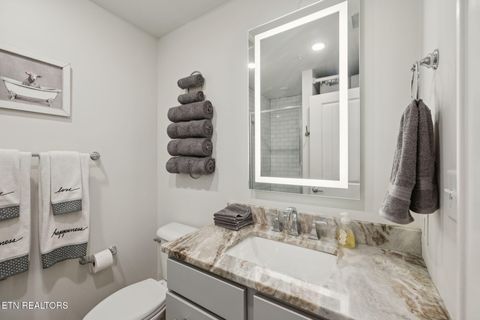 Tiny photo for 353 Ogden St #203, Knoxville, TN 37917 (MLS # 1320190)